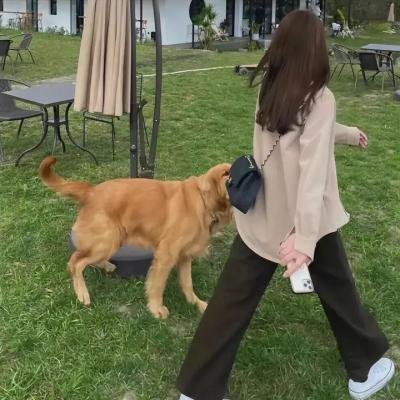 爱上男主播
